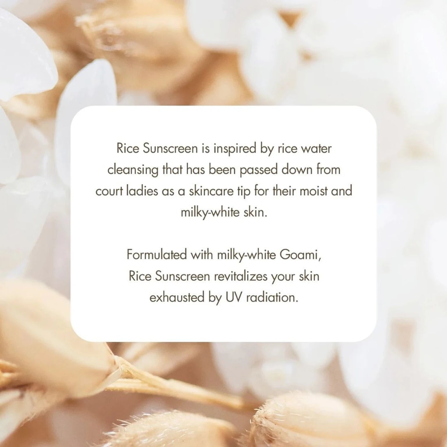 I'm From Rice Sunscreen 50ml
